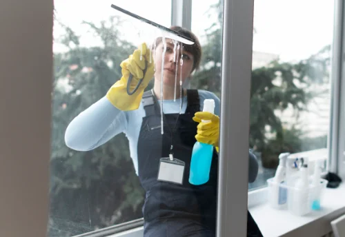 Nettoyage de vitres intérieures et extérieures à Occey